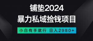 暴力私域捡钱项目，小白无脑操作，日入2980【揭秘】-6688资源库