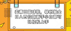 卖莆田篮球鞋，暴利掘金日入四位数新手小白都可以轻松上手【揭秘】-6688资源库
