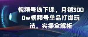 视频号线下课，月销3000w视频号单品打爆玩法，实操全解析-6688资源库