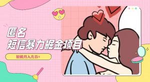 全网首发，揭秘超冷门匿名短信项目，通过信息差日入几百+【揭秘】-6688资源库