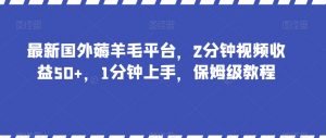 最新国外薅羊毛平台，2分钟视频收益50+，1分钟上手，保姆级教程【揭秘】-6688资源库