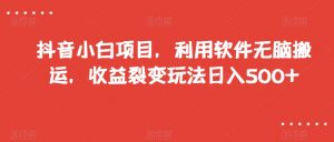 抖音小白项目，利用软件无脑搬运，收益裂变玩法日入500+【揭秘】-6688资源库