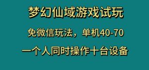 梦幻仙域游戏试玩，免微信玩法，单机40-70，一个人同时操作十台设备【揭秘】-6688资源库