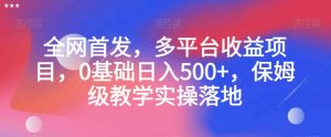 全网首发，多平台收益项目，0基础日入500+，保姆级教学实操落地【揭秘】-6688资源库