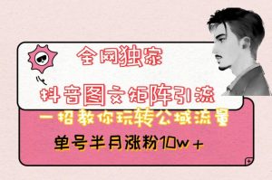 全网独家抖音图文矩阵引流，一招教你玩转公域流量，单号半月涨粉10w+【揭秘】-6688资源库