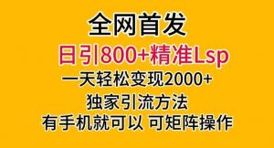 全网首发！日引800+精准老色批，一天变现2000+，独家引流方法，可矩阵操作【揭秘】-6688资源库