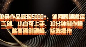 单条作品变现5000+、外网视频搬运二创，小白可上手，10分钟制作爆款高原创视频，矩阵操作【揭秘】-6688资源库