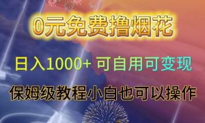 0元免费撸烟花日入1000+可自用可变现保姆级教程小白也可以操作【仅揭秘】-6688资源库