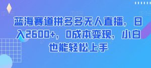 蓝海赛道拼多多无人直播，日入2600+，0成本变现，小白也能轻松上手【揭秘】-6688资源库