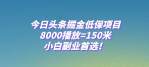 今日头条掘金低保项目,8000播放=150米,小白副业首选【揭秘】-6688资源库