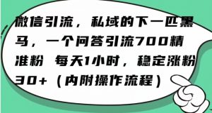 怎么搞精准创业粉？微信新赛道，每天一小时，利用Ai一个问答日引100精准粉-6688资源库