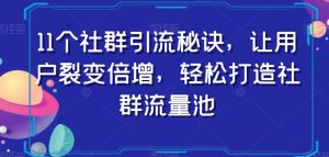 11个社群引流秘诀，让用户裂变倍增，轻松打造社群流量池-6688资源库