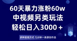 60天暴力涨粉60W，中视频另类玩法，日入3000＋，几分钟一条原创作品多种变现方式-6688资源库