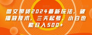 图文带货2024最新玩法,破播放技术,三天起号,小白也能日入500+【揭秘】-6688资源库