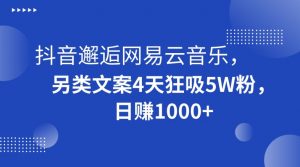 抖音邂逅网易云音乐，另类文案4天狂吸5W粉，日赚1000+【揭秘】-6688资源库
