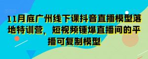 11月底广州线下课抖音直播模型落地特训营，短视频锤爆直播间的平播可复制模型-6688资源库