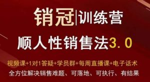 爆款！销冠训练营3.0之顺人性销售法，全方位解决销售难题、可落地、可执行、有结果-6688资源库