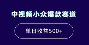 中视频小众爆款赛道，7天涨粉5万+，小白也能无脑操作，轻松月入上万【揭秘】-6688资源库