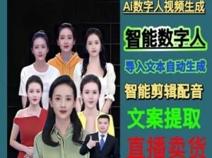 伍老师Ai数字人快速剪辑制作以及变现视频课-6688资源库