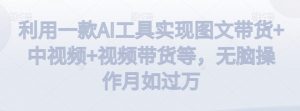 利用一款AI工具实现图文带货+中视频+视频带货等,无脑操作月如过万【揭秘】-6688资源库