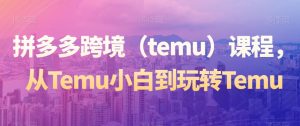 拼多多跨境（temu）课程，从Temu小白到玩转Temu-6688资源库