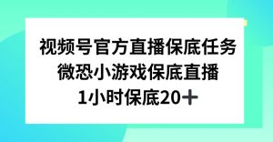 视频号直播任务，微恐小游戏，1小时20+【揭秘】-6688资源库