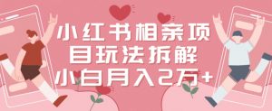 小红书相亲项目玩法拆解，有人通过这个副业项目做到了月收入2万多【揭秘】-6688资源库