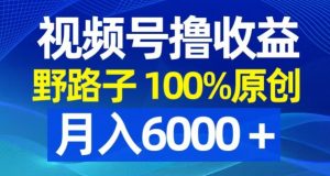 视频号野路子撸收益，100%原创，条条爆款，月入6000＋【揭秘】-6688资源库
