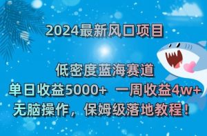 2024最新风口项目，低密度蓝海赛道，单日收益5000+，一周收益4w+！【揭秘】-6688资源库
