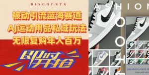 被动引流蓝海赛道，AJ运动用品私域玩法，无限复购年入百万【揭秘】-6688资源库