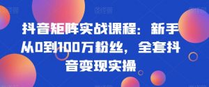 抖音矩阵实战课程：新手从0到100万粉丝，全套抖音变现实操-6688资源库