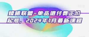 臻曦联盟-单品微付费正价起号，2024年1月最新课程-6688资源库