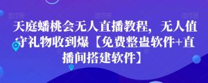 天庭蟠桃会无人直播教程，无人值守礼物收到爆【免费整蛊软件+直播间搭建软件】-6688资源库