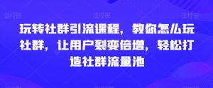 玩转社群引流课程，教你怎么玩社群，让用户裂变倍增，轻松打造社群流量池-6688资源库