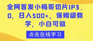 全网首发小杨哥切片IP3.0，日入500+，保姆级教学，小白可做【揭秘】-6688资源库