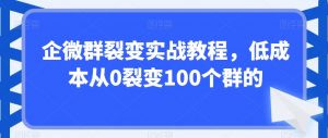 企微群裂变实战教程，低成本从0裂变100个群的-6688资源库