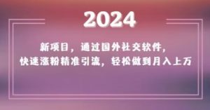 2024新项目，通过国外社交软件，快速涨粉精准引流，轻松做到月入上万【揭秘】-6688资源库