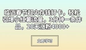 临近春节超火存钱打卡，轻松引爆小红薯流量，3分钟一条作品，20天涨粉4000+【揭秘】-6688资源库