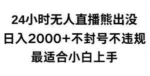 快手24小时无人直播熊出没，不封直播间，不违规，日入2000+，最适合小白上手，保姆式教学【揭秘】-6688资源库