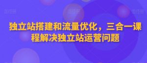 独立站搭建和流量优化，三合一课程解决独立站运营问题-6688资源库