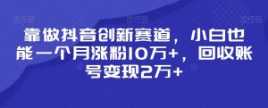 靠做抖音创新赛道，小白也能一个月涨粉10万+，回收账号变现2万+【揭秘】-6688资源库