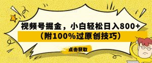 视频号掘金，小白轻松日入800+（附100%过原创技巧）【揭秘】-6688资源库