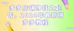 多多店铺挣钱之起店，2024年最新拼多多教程-6688资源库
