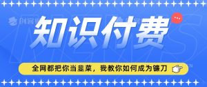2024最新知识付费项目，小白也能轻松入局，全网都在教你做项目，我教你做镰刀【揭秘】-6688资源库