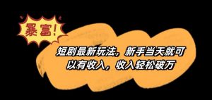 短剧最新玩法,新手当天就可以有收入,收入轻松破万【揭秘】-6688资源库