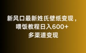 新风口最新姓氏壁纸变现，喂饭教程日入600+【揭秘】-6688资源库