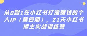 从0到1在小红书打造赚钱的个人IP（第四期），21天小红书博主实战训练营-6688资源库