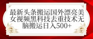 最新头条搬运国外漂亮美女视频黑科技去重技术无脑搬运日入500+【揭秘】-6688资源库
