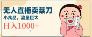 无人冷门品直播新玩法，通过卖菜刀日入1000+【揭秘】-6688资源库