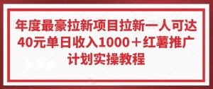 年度最豪拉新项目拉新一人可达40元单日收入1000＋红薯推广计划实操教程【揭秘】-6688资源库